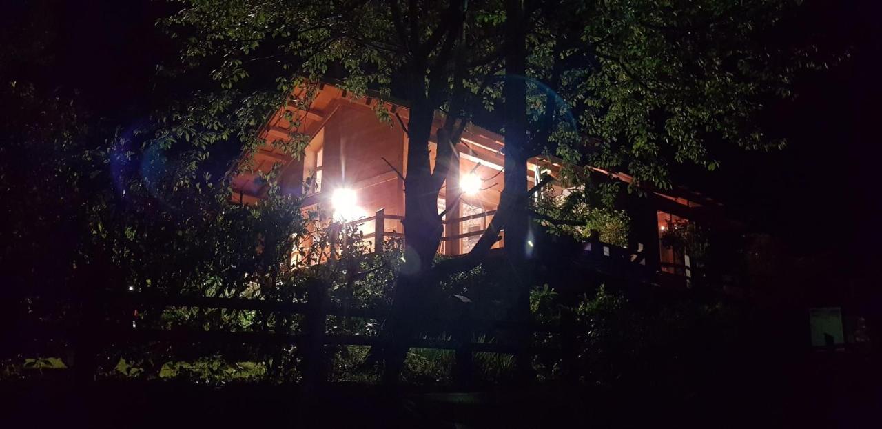 Gite C 1.2.3 Soleil Saint-Martin-Vésubie Exterior foto